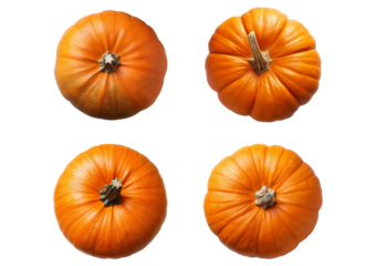 Collection Pumpkin isolated on transparent or white background