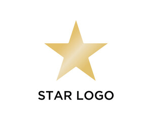 Creative Star Logo Design Template