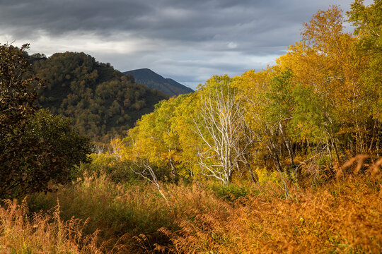 autumn landscape in the mountains