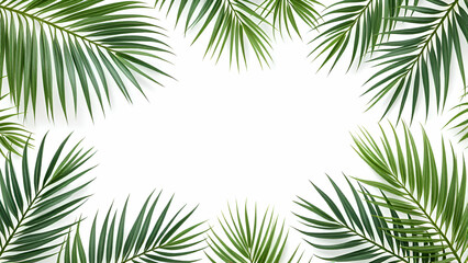 Green palm leaves arranged around a white background, creating a tropical border. 