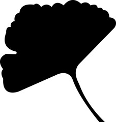 Cartoon flat ginkgo biloba leaf. Nature eco vector. Ginkgo Herb and Spice Icon. Botanical element, traditional painting isolated on transparent background. Leaflet organic cosmetic and medical plant.