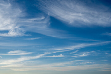 秋の青空