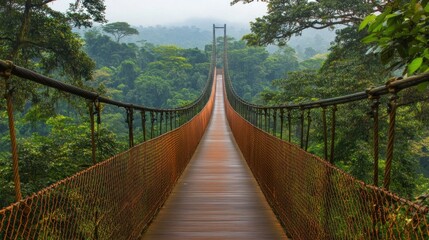 Obraz premium A wooden suspension bridge stretches across a misty jungle
