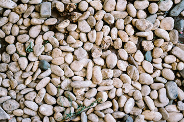 White river stones arranged beautifully