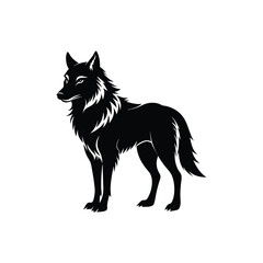 Beta logo and summer design