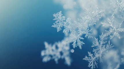 The Snowflakes on Blue Background