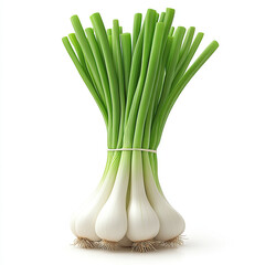 A bunch of green onions isolated on a white background with a clipping path
