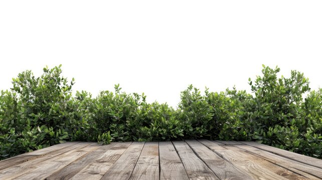 Wooden floor with green bushes isolated on white background telephoto lens realistic studio lighting. - Powered by Adobe