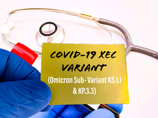 Medical conceptual image, Covid XEC Variant, Omicron Sub-variant KS.1.1 KP.3.3 . Blood test