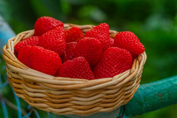 Wicker wooden basket with artificial, ripe red strawberry fruits. Food imitation, harvesting concept, yield, fertility, agricultural fair, hospitality.