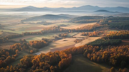 Sky-high autumn view