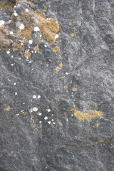 Detailed Gray Rock Texture Background for Creative Design Use