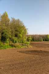 fertile soil in spring during the preparation