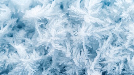 Fototapeta premium Close-up of intricate frost patterns on a surface, showcasing the beauty of winter's chill and delicate ice formations.