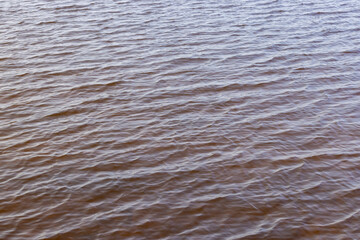 dark muddy lake water in winter without snow