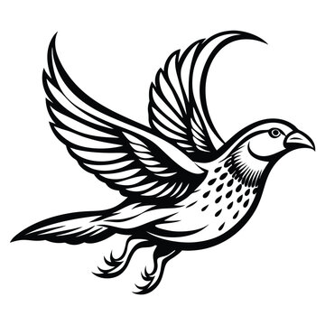 recommend clip art: Solid color Quail animal vector design
