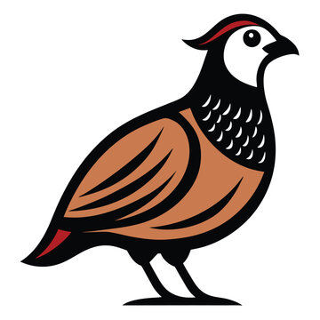 recommend clip art: Solid color Quail animal vector design