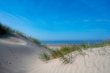 Dunes with beach grass and the sea