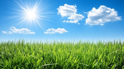 Fototapeta premium Vibrant blue sky and radiant sun over field of lush green grass 
