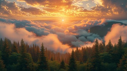 Fototapeta premium Golden Sunrise Over Foggy Mountain Forest A Breathtaking Nature Scene