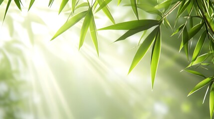 Obraz premium Serene green tapestry, a closeup of vibrant bamboo leaves creating calming natural background