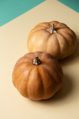 Two pumpkins sit on beige paper