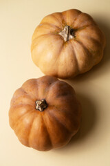 Two pumpkins sit on beige paper