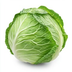 Cabbage isolated on white background, clipping path