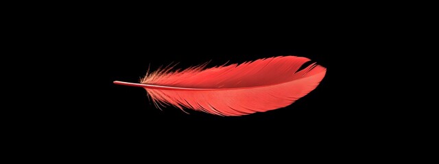 A single red feather floating in the air on a black background