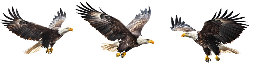 An eagle with a fish on its back and a white background with a picture of an eagle on it