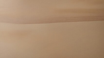 Minimalist BurlyWood Surface with Smooth Texture