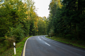 Obraz premium Empty, paved rural country road bending through a forest. Wide angle shot, cloudy autumn day, no people