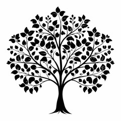 maidenhair-tree-tree-silhouette