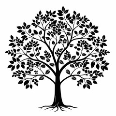 maidenhair-tree-tree-silhouette