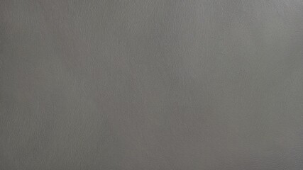 Luxurious LightSlateGray Textured Surface with Soft Gradient