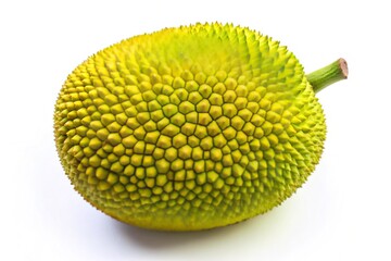 Fresh and Juicy Jackfruit Isolated on White Background for Culinary Use