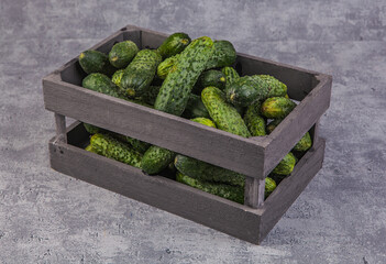 Fresh cucumbers in wooden box on rustic background. Toned.