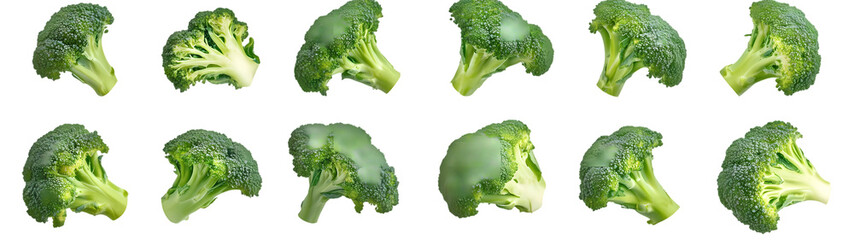 Broccoli realistic vegetable healty food