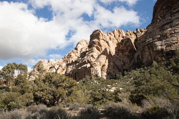 Fototapeta premium White Rock Mountain Loop, La Madre Mountains Wilderness, Nevada