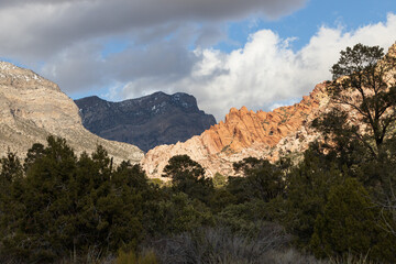 White Rock Mountain Loop, La Madre Mountains Wilderness, Nevada