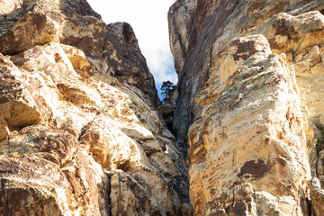 White Rock Mountain Loop, La Madre Mountains Wilderness, Nevada