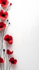 Photo of Red poppy flowers on white background, free place for text