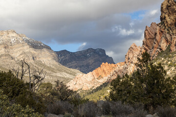 White Rock Mountain Loop, La Madre Mountains Wilderness, Nevada