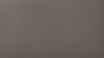Luxurious Moccasin Textured Surface with Soft Gradient
