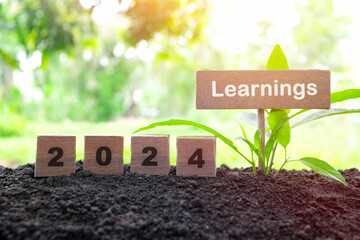 Year 2024 life lessons and learnings concept. Wooden blocks in natural background at sunset.