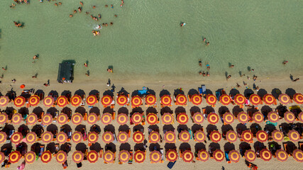Perpendicular aerial view of a beach club with orange umbrellas on a sandy coast of Salento, Puglia, Italy. There are people and tourists swimming and sunbathing.