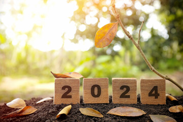 Goodbye year 2024 concept. Wooden blocks in natural background at sunset.