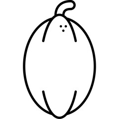 Spaghetti Squash Icon