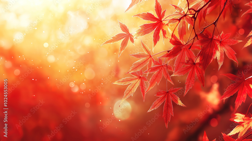 Poster seasonal banner design showcasing red and yellow maple leaves with a soft focus and bokeh effect