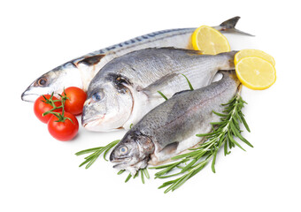 Sea food. Different types of fresh fish with lemon, rosemary and tomatoes isolated on white